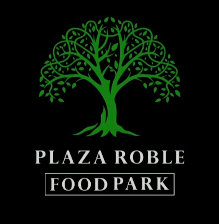 Logo 2 Plaza Roble